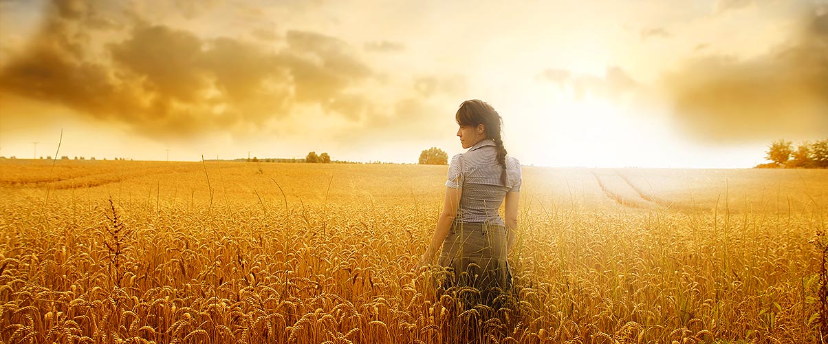 Sunny Fields Of Nebraska